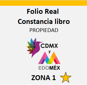 folio real registro publico zona 1 mexico