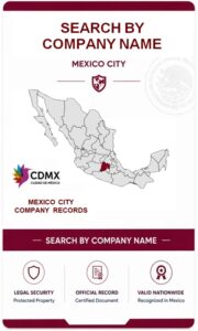 Search by Company Name Mexico City